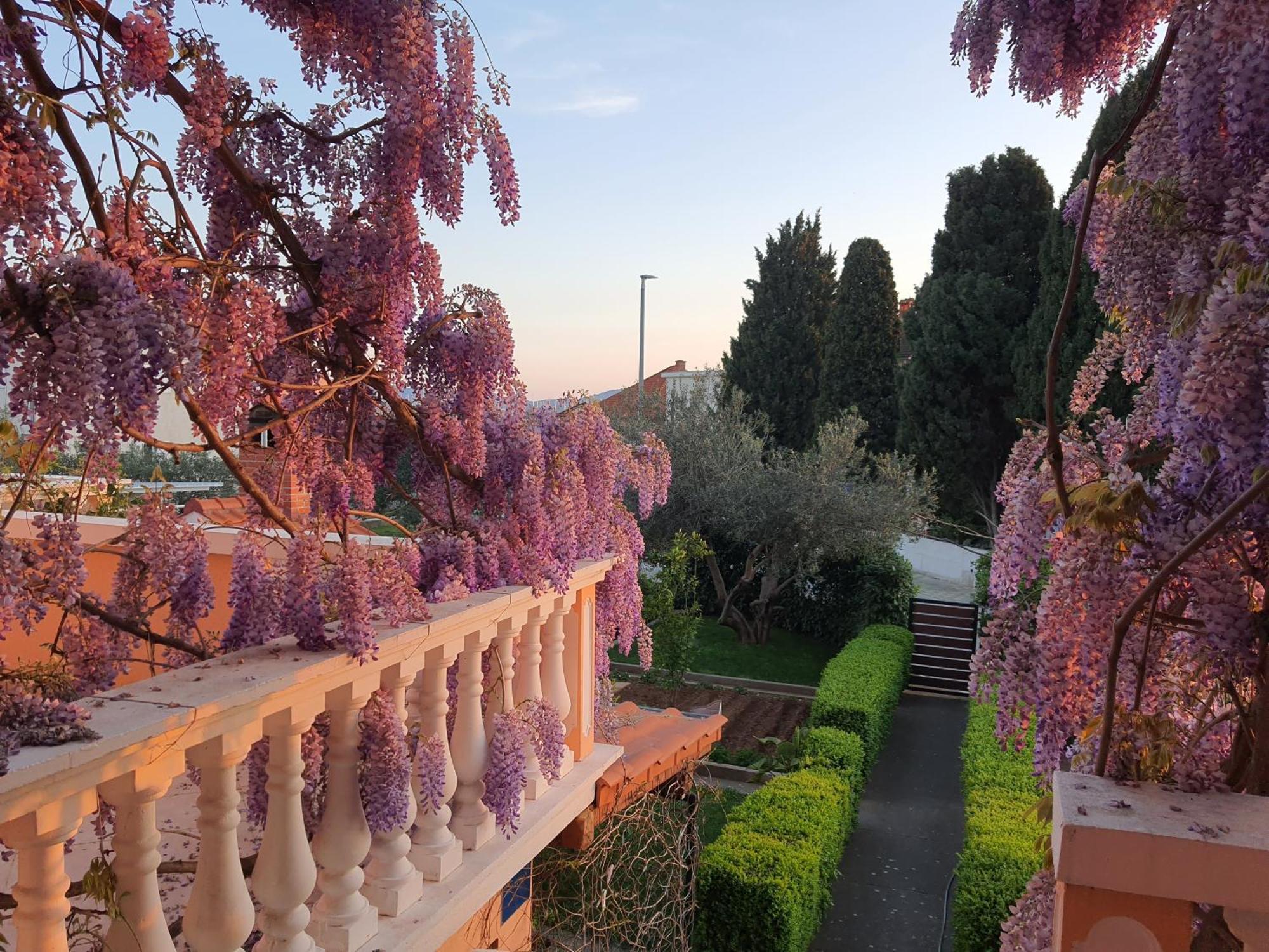 Durdica Bobic Apartment *